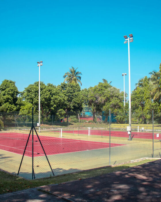 tennis sarakawa
