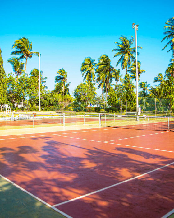 Tennis 5 Sarakawa Tennis