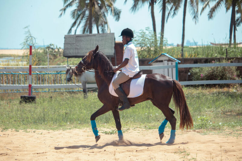 Mediathèque 33 Equitation Sarakawa